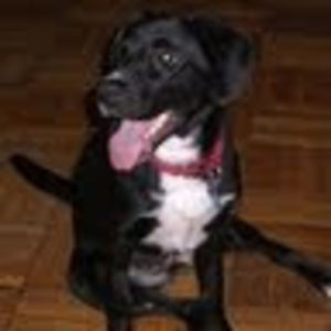 Meet your Posher, Debra